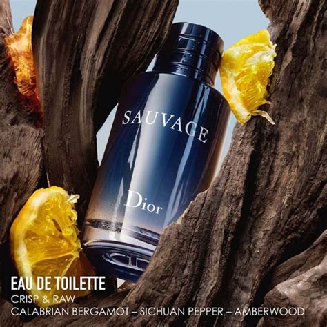 dior sauvage recipe|Dior Sauvage Product Review .